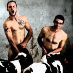 Les beaux gosses de l’été (02/08)