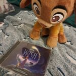 Coup de cœur sur Wish : Asha et la bonne étoile