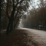 Quand la pluie s’invite : comment transformer les journées grises en moments précieux ?